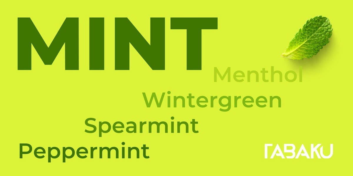 What Exactly Is The Flavour Of Mint? What Sets Spearmint Apart From