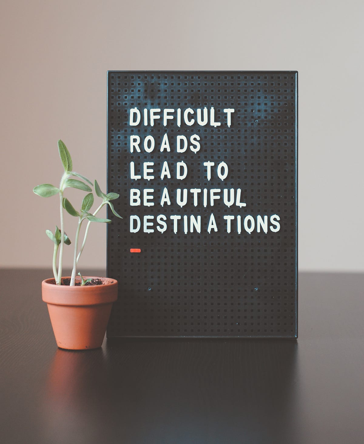 The SoulChanging Art of Turning Pain Into Growth and Profit by Brian