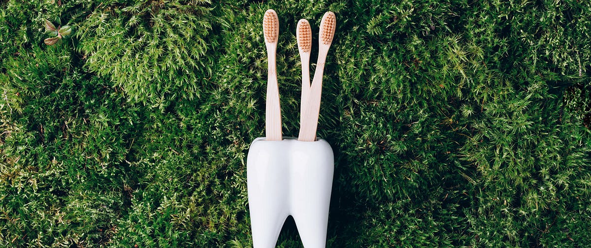 THE IMPORTANCE OF HOLISTIC DENTISTRY HOW A BIOLOGICAL APPROACH CAN