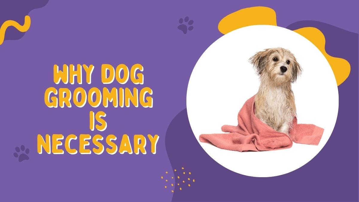Why Dog Grooming is Necessary. Dog grooming is an essential aspect of