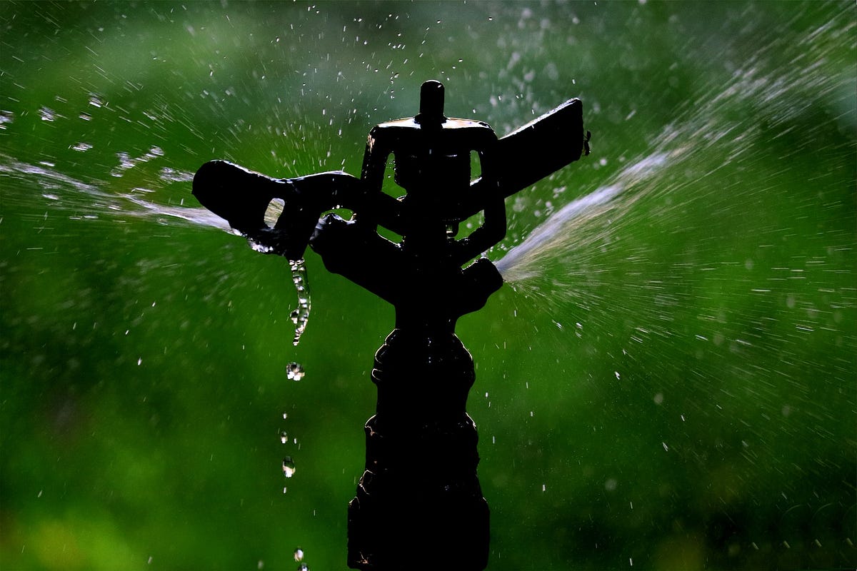 Understanding the Different Types of Sprinkler Systems Choosing the