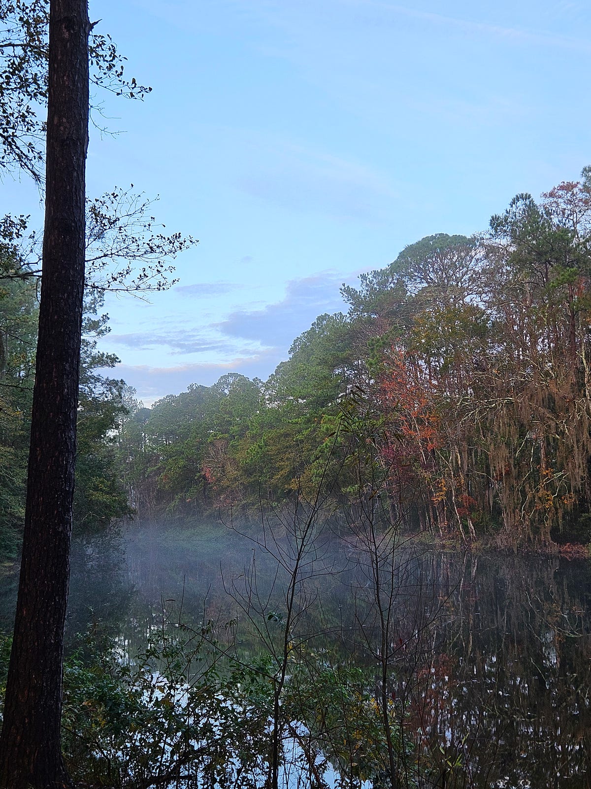 PostChristmas Fog. Late December in Florida by Weather