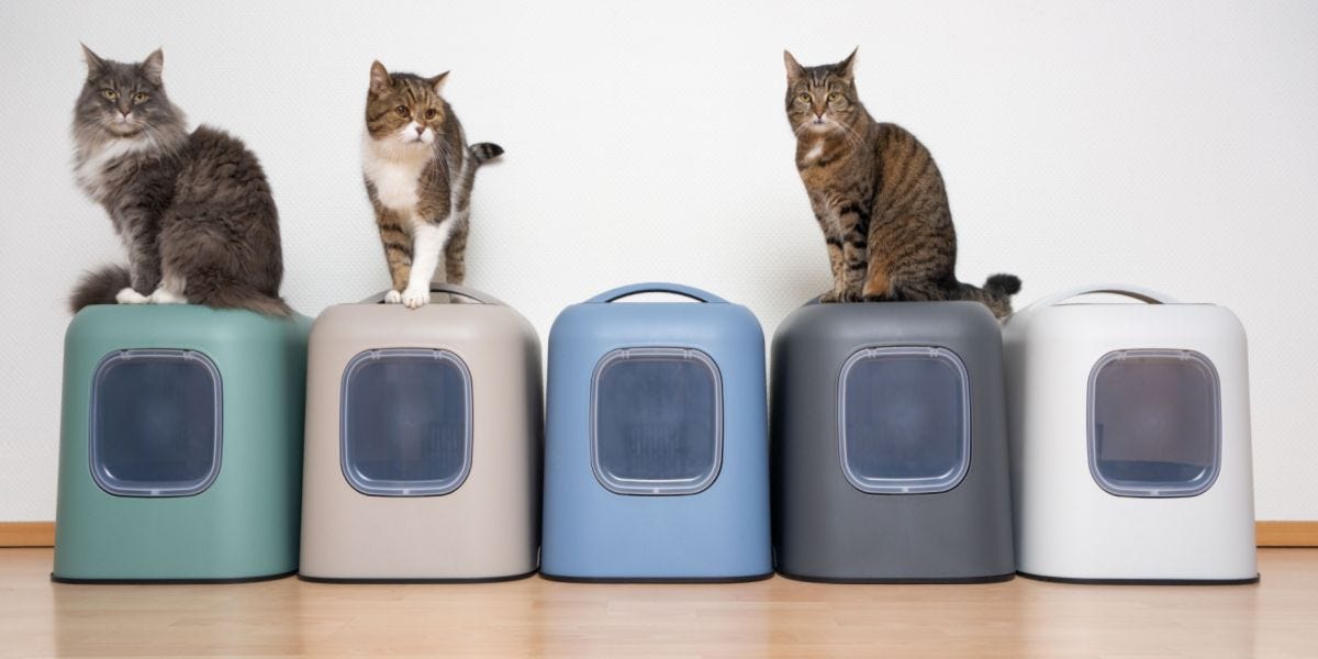 Provide A Sufficient Number Of Litter Boxes by Pets Care Portal Medium