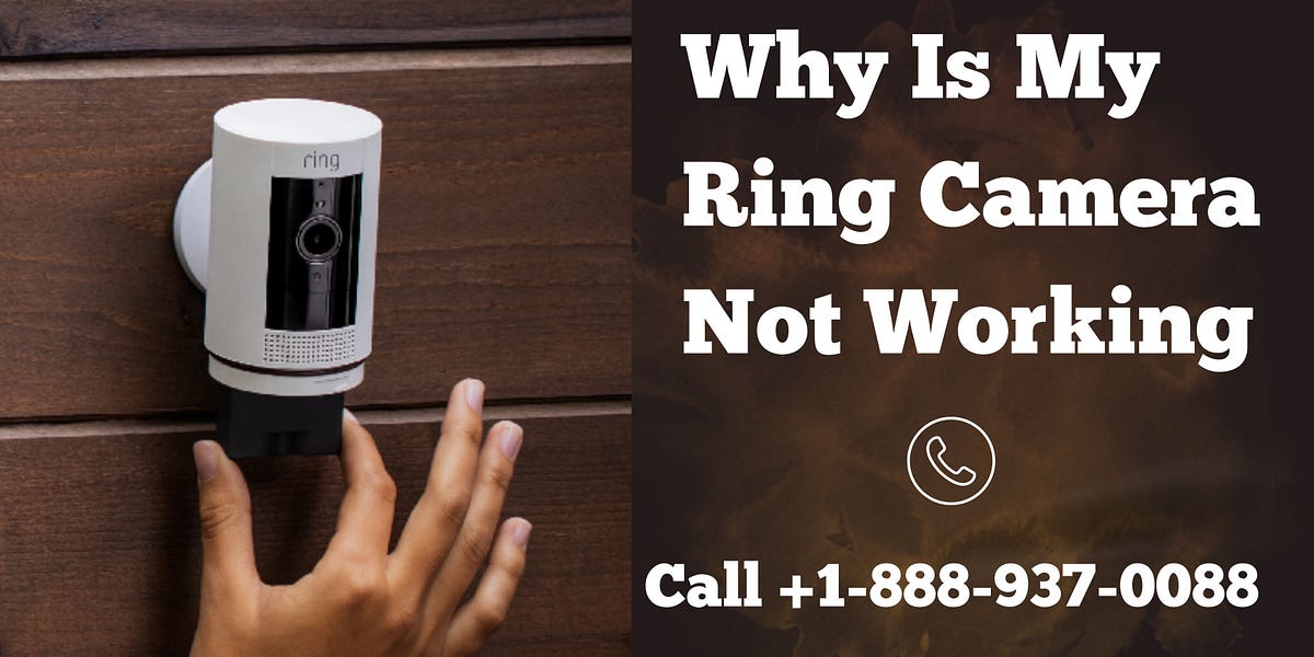 Why Is My Ring Camera Not Working Call +18889370088 by