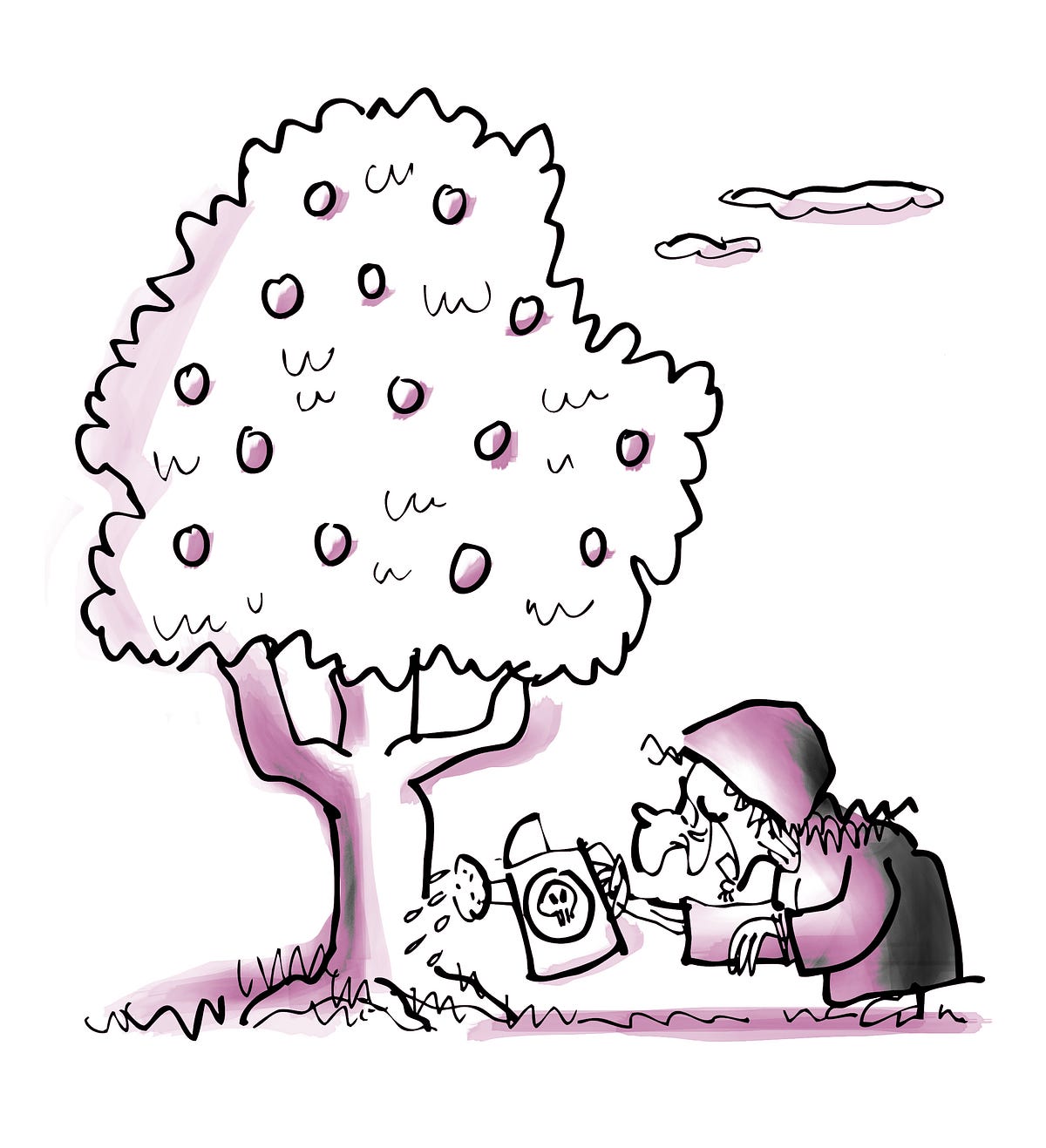 Best Apples For Poisoning People The Haven