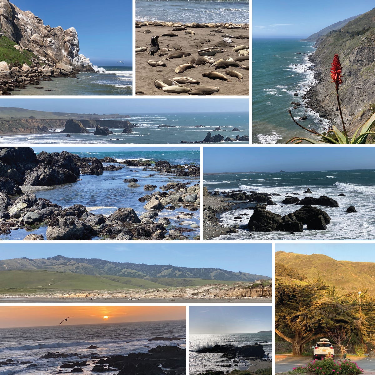 Morro Bay, San Simeon, and Ragged Point, CA by Gila Melamed Apr