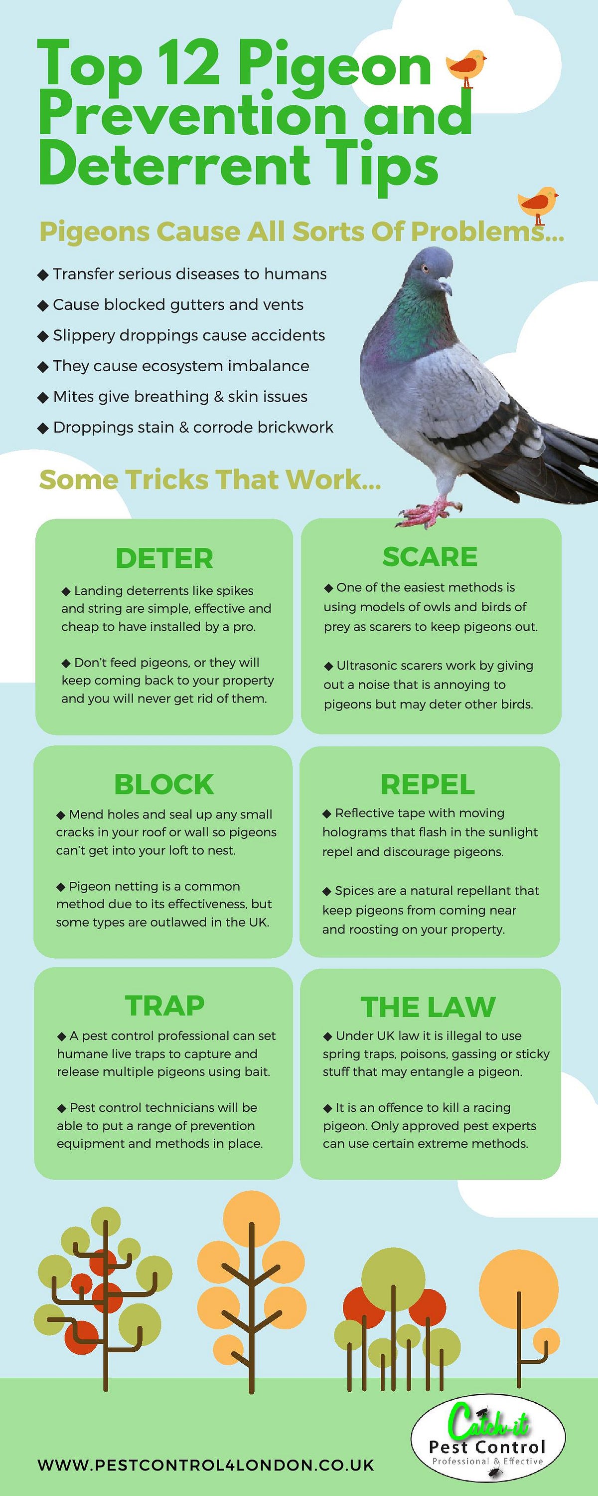 Preventing and deterring pigeons from your home by Alex plunkett Medium