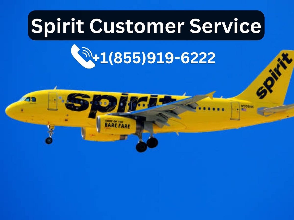 Spirit Airlines minor policy & Its Fee by jimmyjones