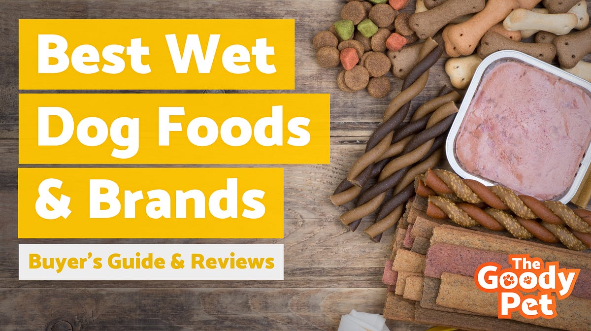 Best Wet Dog Foods & Brands. A quick comparison guide on what are… by