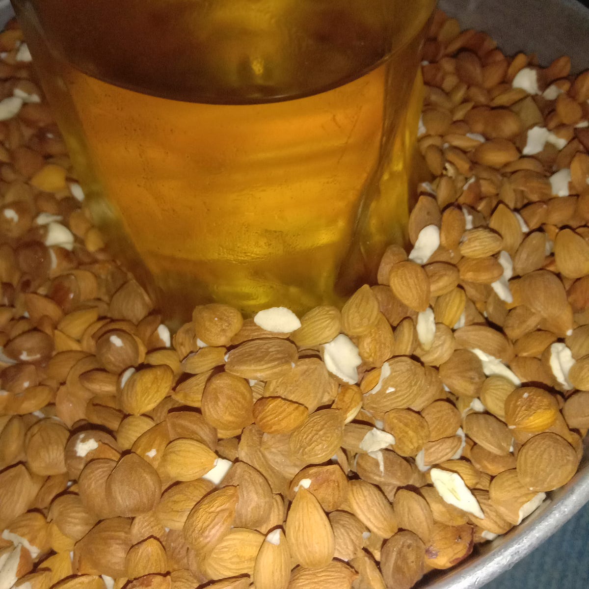 Hazelnuts, those delightful tree nuts native to the eastern half of