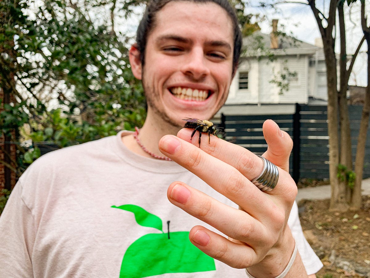 How to Define the CreepyCrawlies by Nathan Allen Creatures Medium