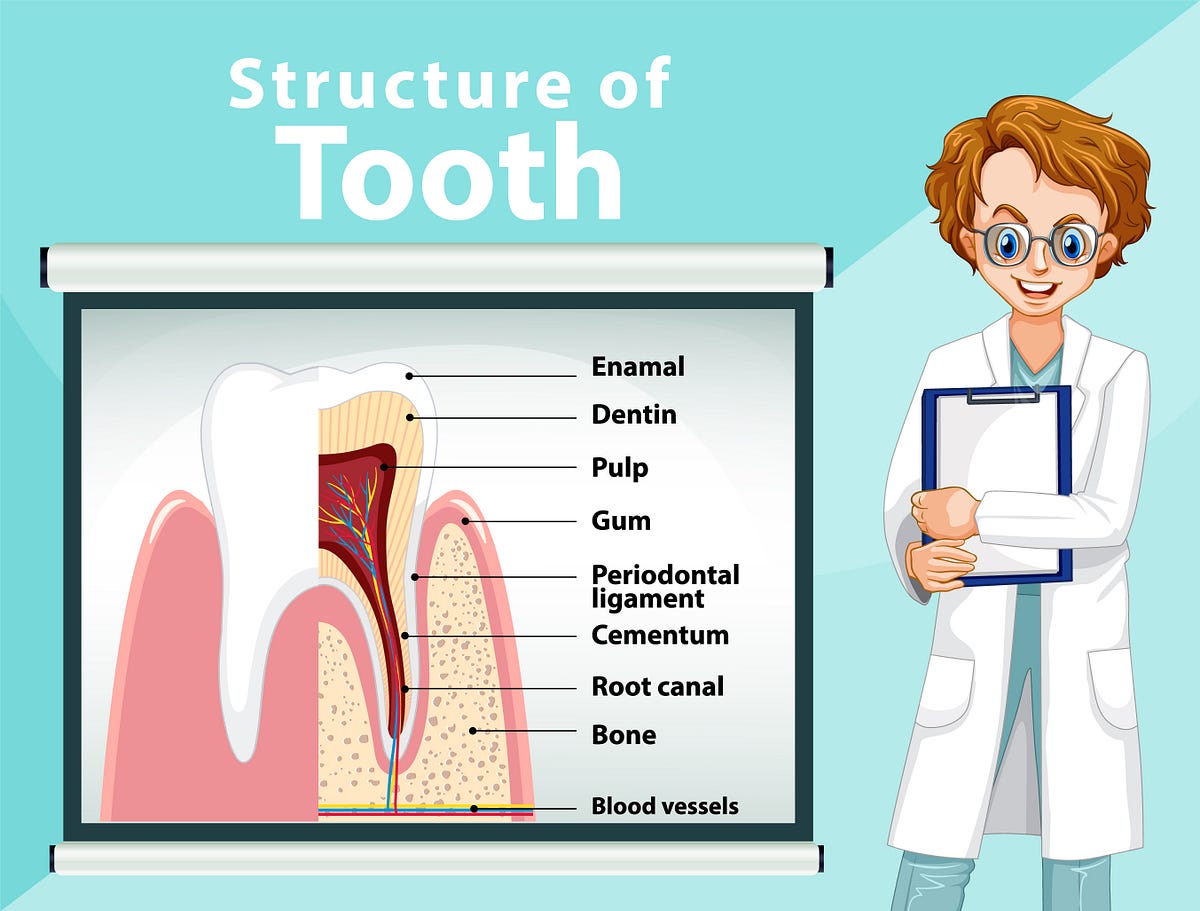 why are my teeth yellow when i brush them everyday? Medium