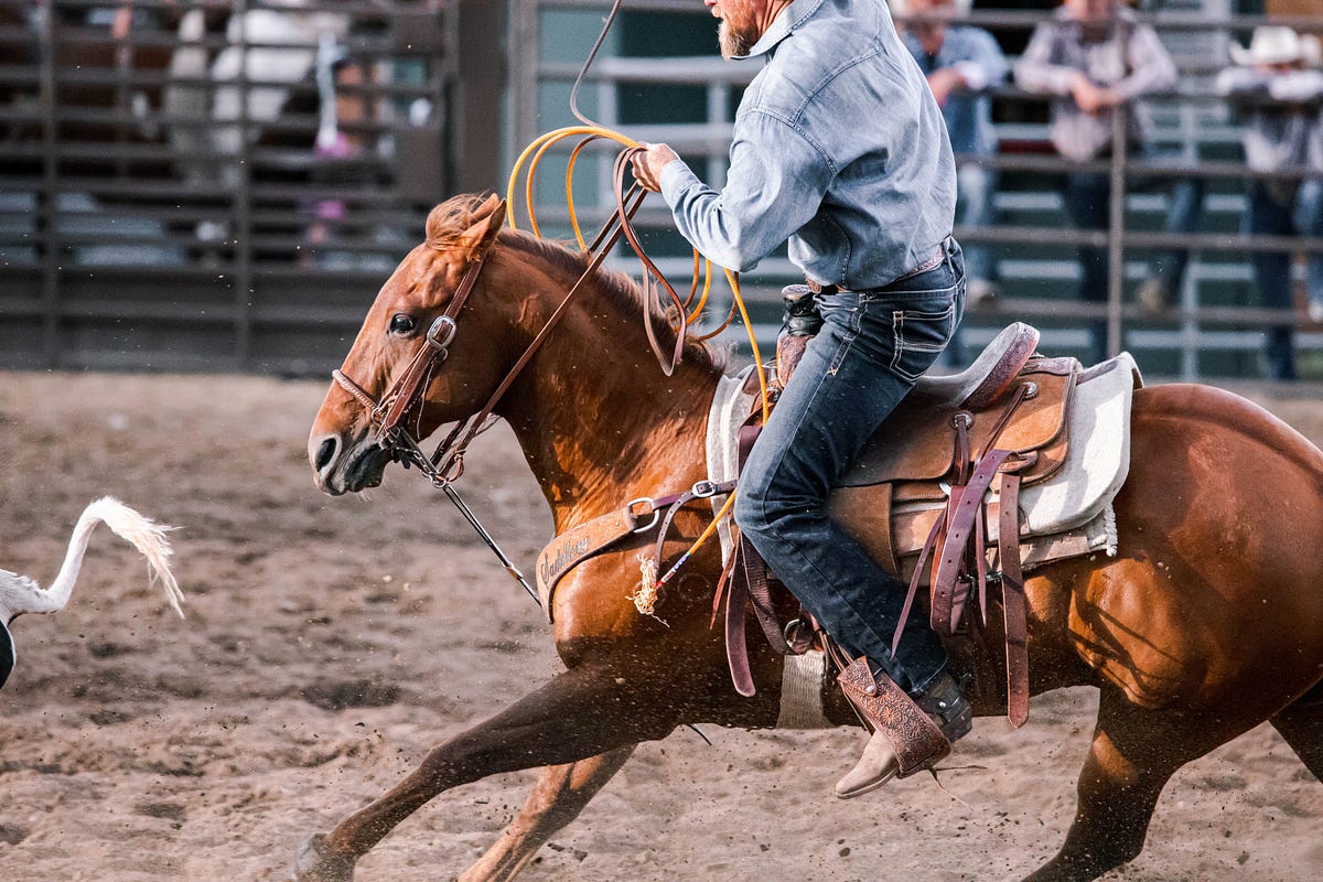 The Difference between English and Western Saddles by Brett Grimes
