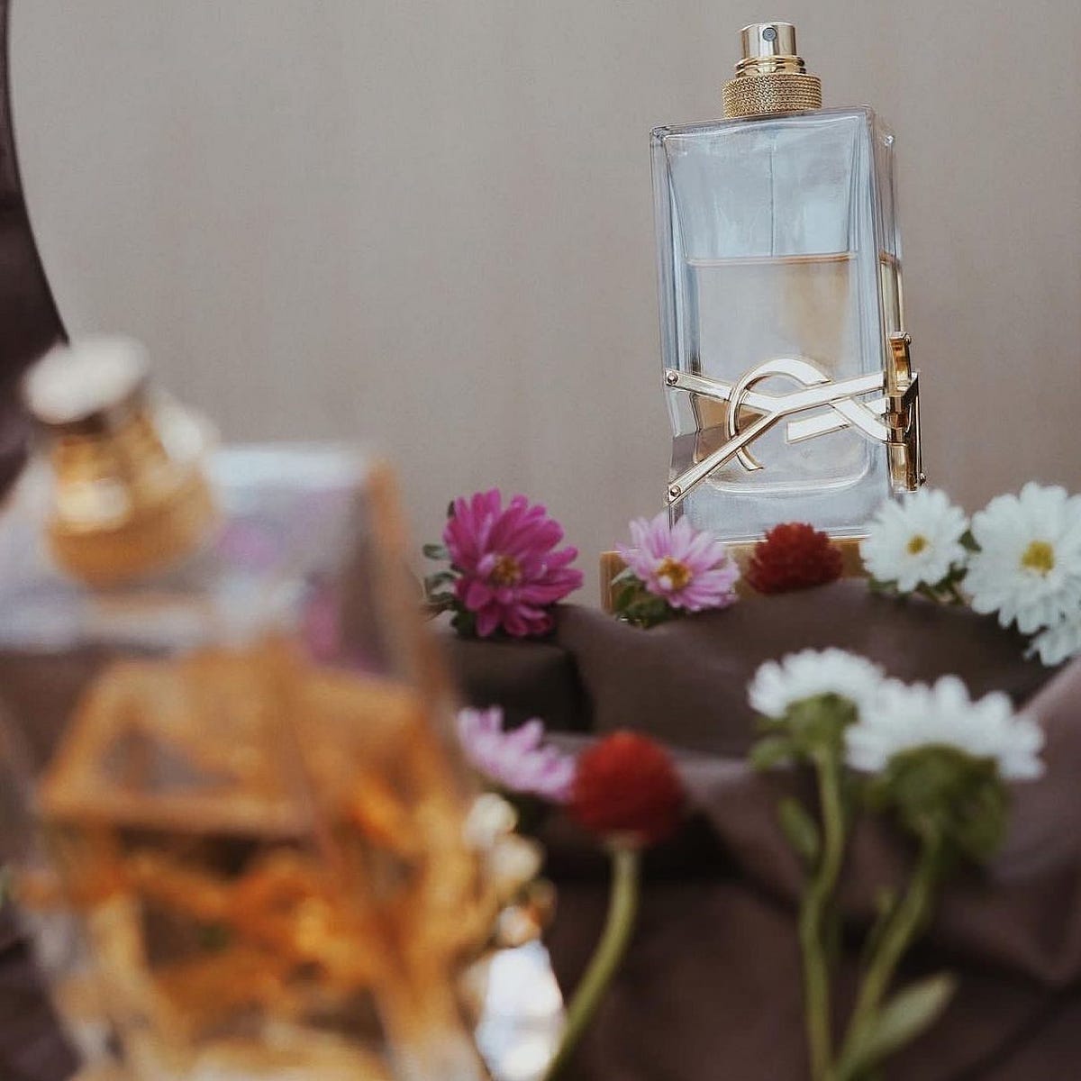 Perfume Notes Explained Understanding the Different Types of Notes in