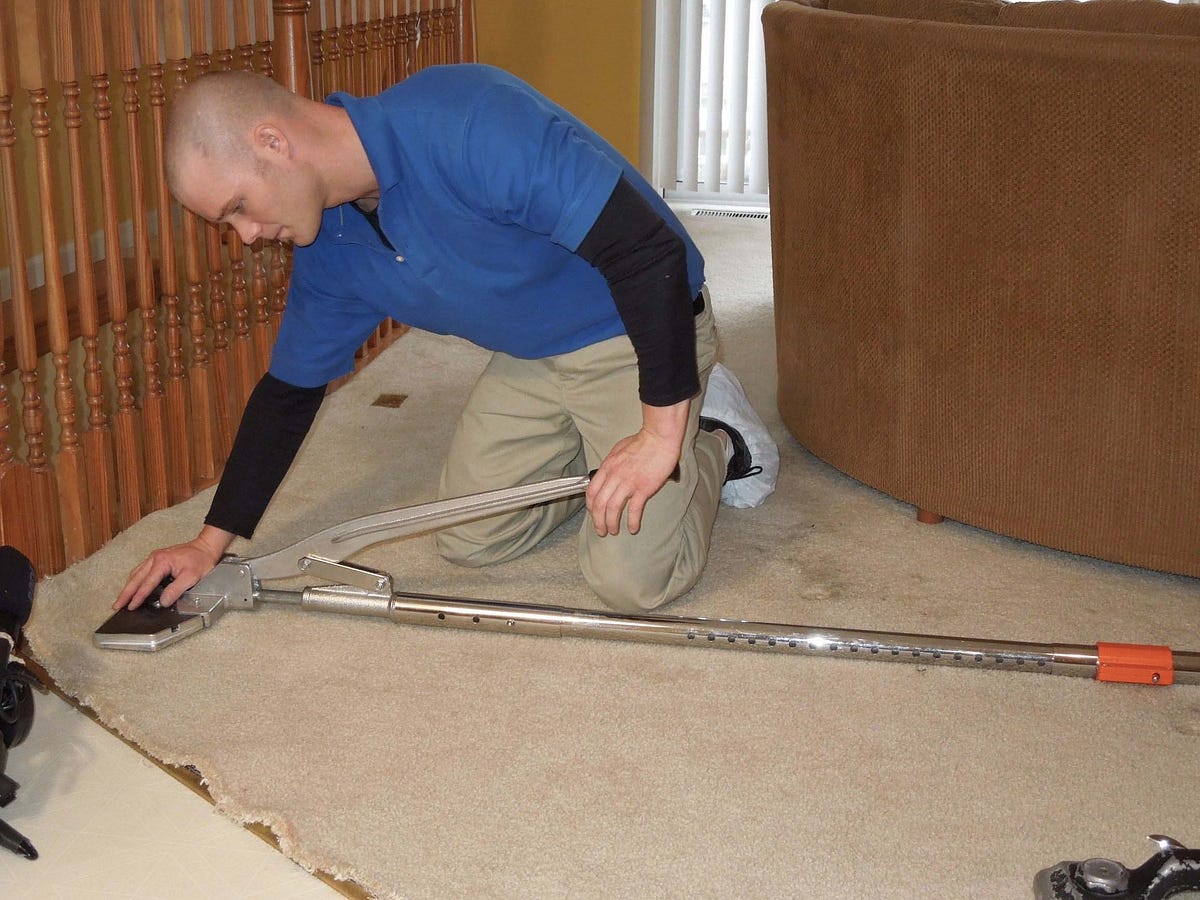 Extend the Life of Your Carpets With Restretching Tips by Barneydavis Medium