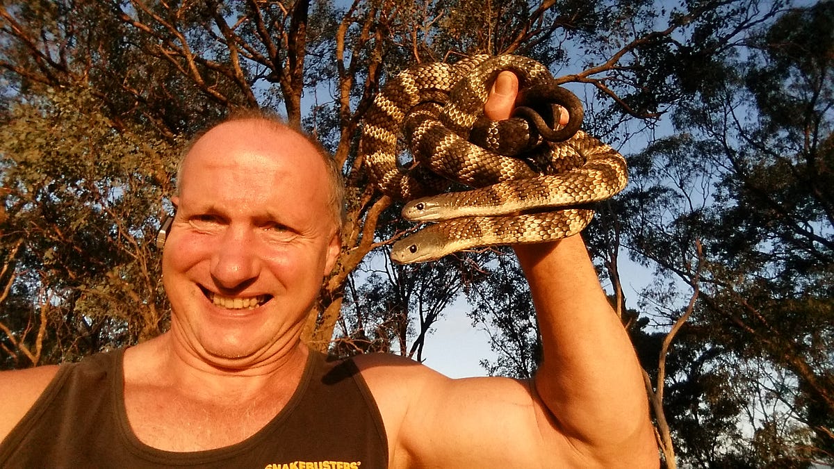 Snake Catcher Warrandyte! For more than 30 years, Ray Hoser has been