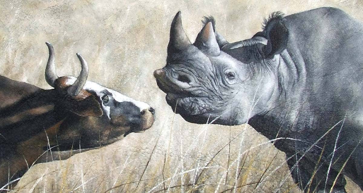 Use Of Animals In Art. For many artists over the ages, animals… by