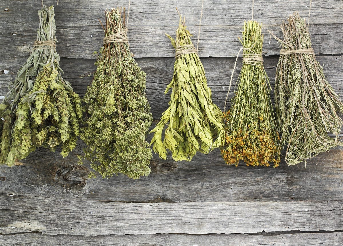 Top 10 Healing Herbs You Can Use Every Day by Wellness Experts Medium