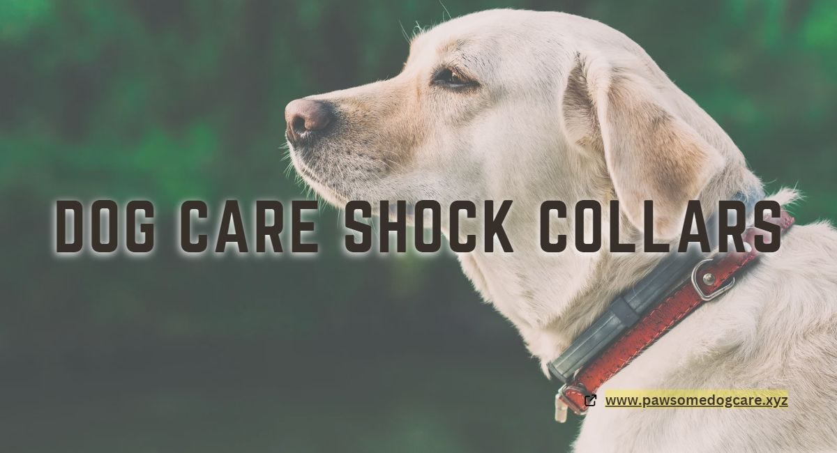 dog care shock collar instructions by Pawsomedogcare Medium