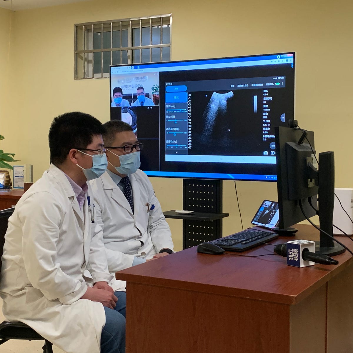 Linear Probe. The linear array transducer frequency… by Stork Medium