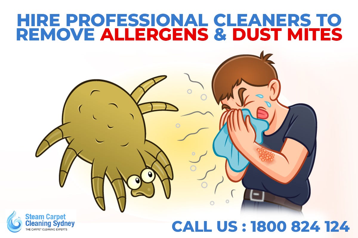 How to get rid of Allergens from your premises competently? by Steam