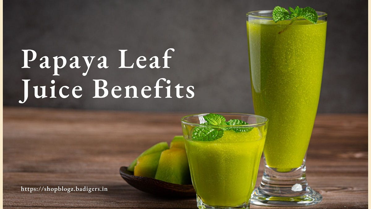 how to make juice from papaya leaves (Leaf) at home by Swanand Shinge Medium