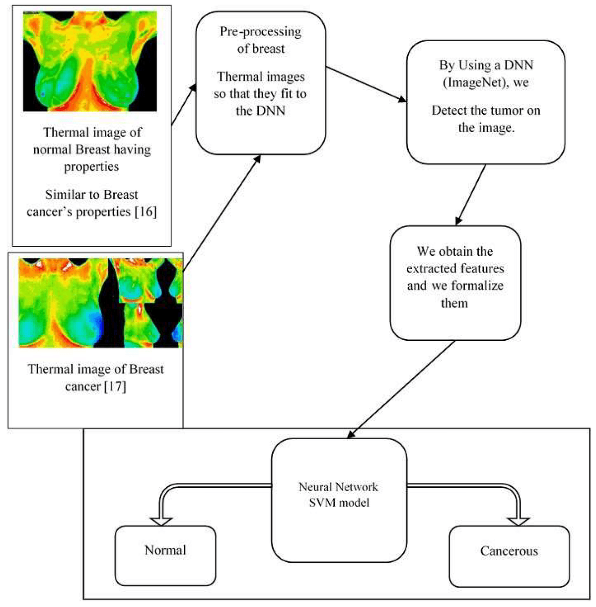 Breast Cancer Detection Using Infrared Thermal Imaging and a Deep