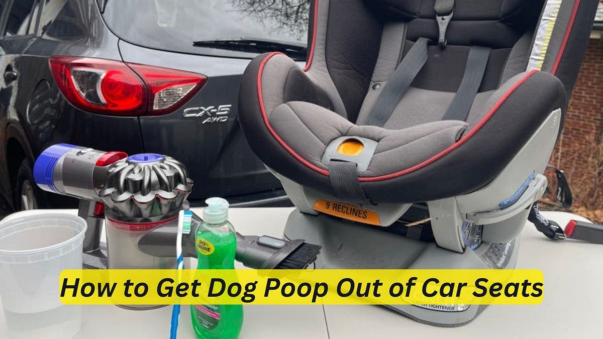 How to Get Dog Poop Out of Car Seats Ultimate Cleaning Guide by Car