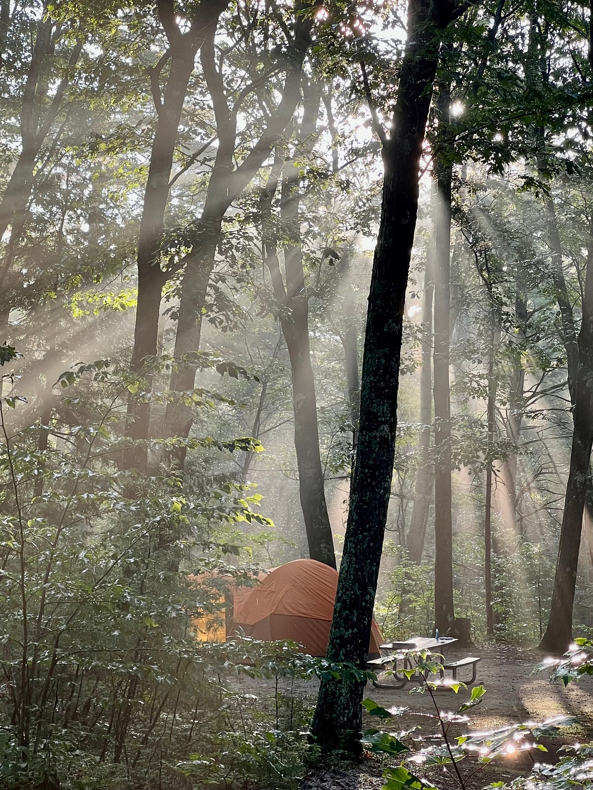 We recently had a camping at Greenfield State Park New Hampshire. It