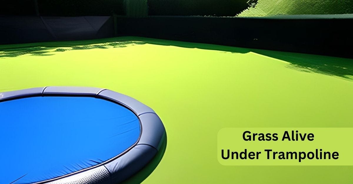 How To Keep Grass Alive Under Trampoline? Trampoline Mind Medium