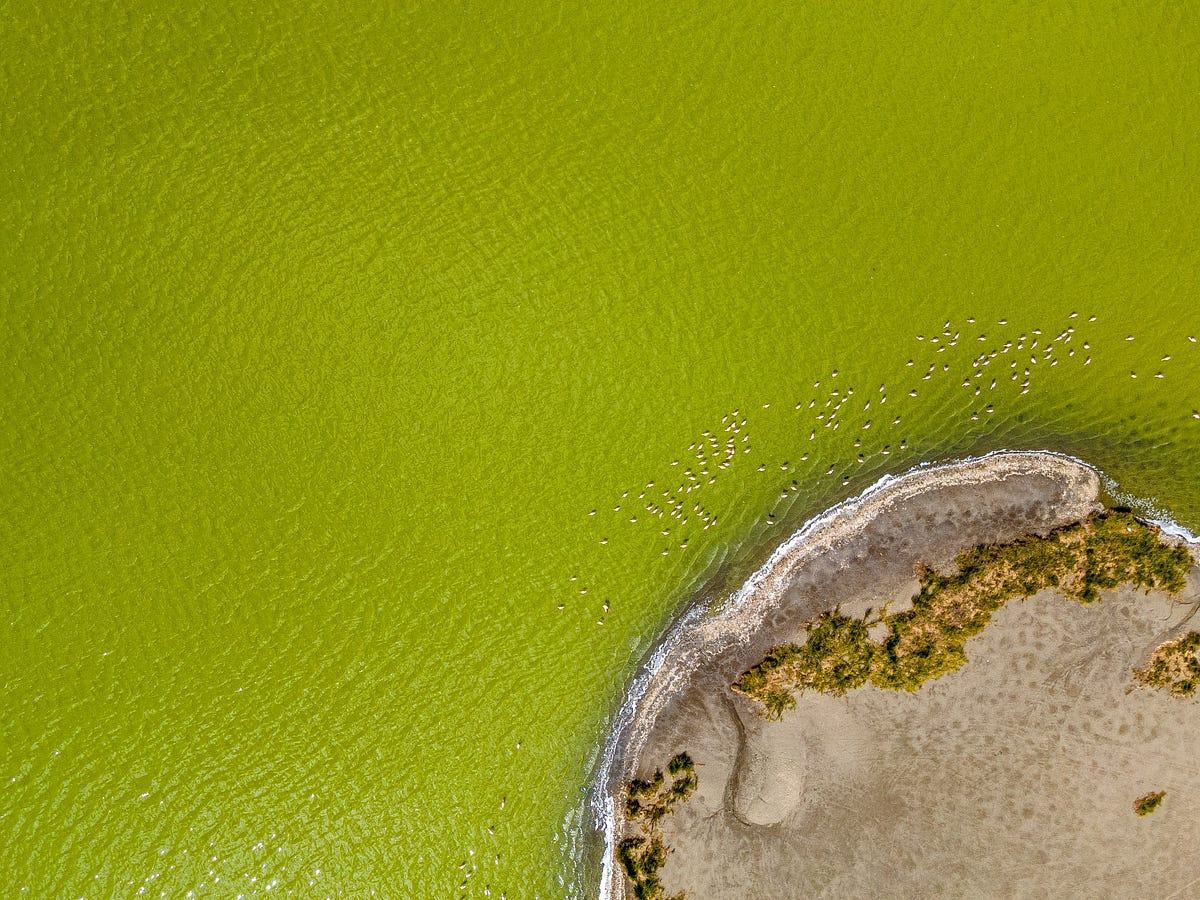 Understanding Land Ownership for Foreigners in Kenya by Grand Acres