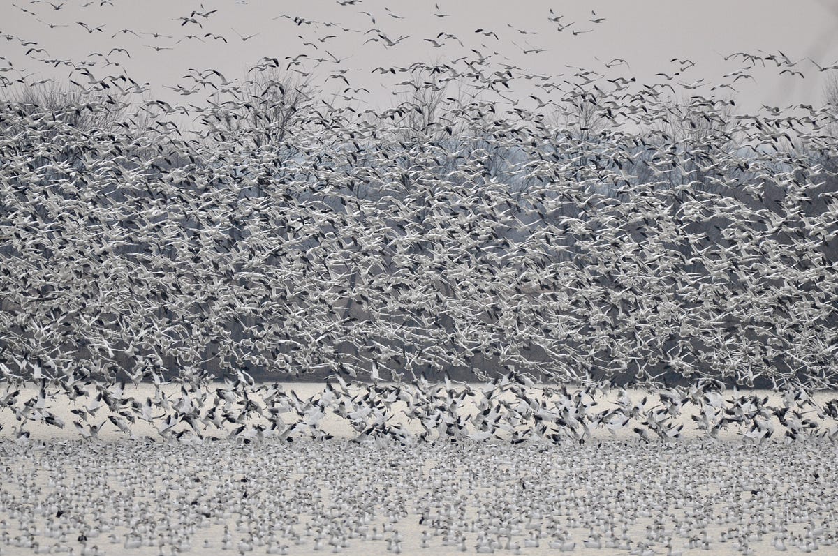 JUnit Migration Guide from JUnit 4 to JUnit 5 by Wenqi Glantz Medium