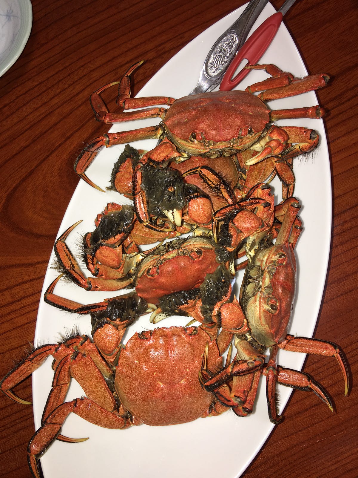 “Mozukugani(Japanese mitten crab)” is an Autumn delicacy in Japan by