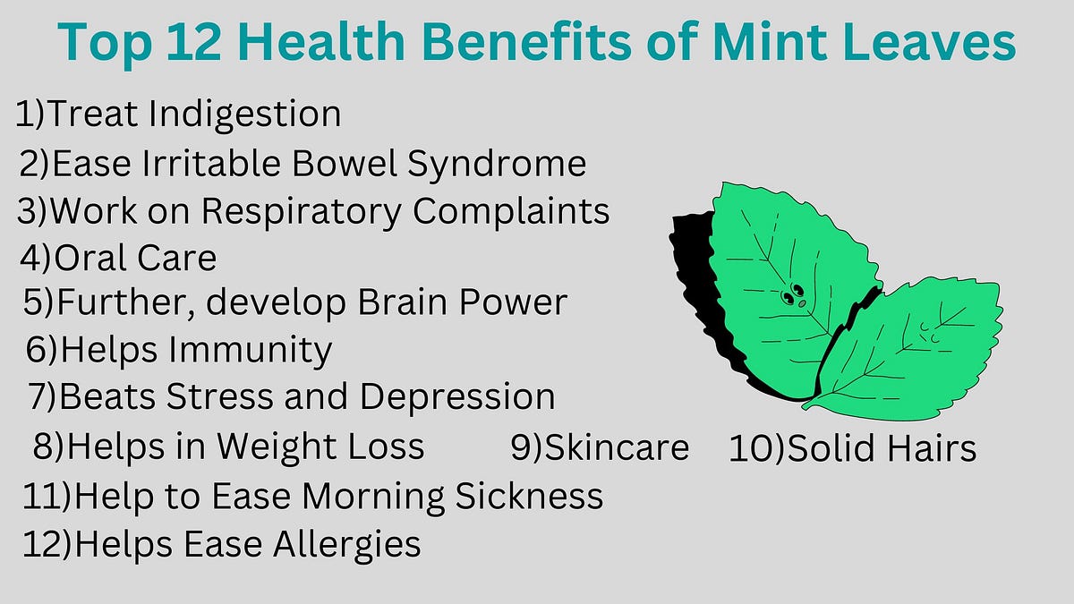 Top 12 Health Benefits of Mint Leaves by Health Line Medium
