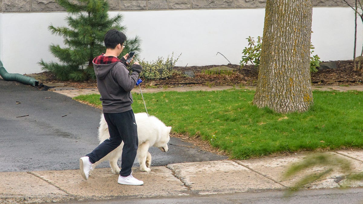 Is It a Dog Eat Dog or Dog Be Dog World? by Erik Assadourian Age of