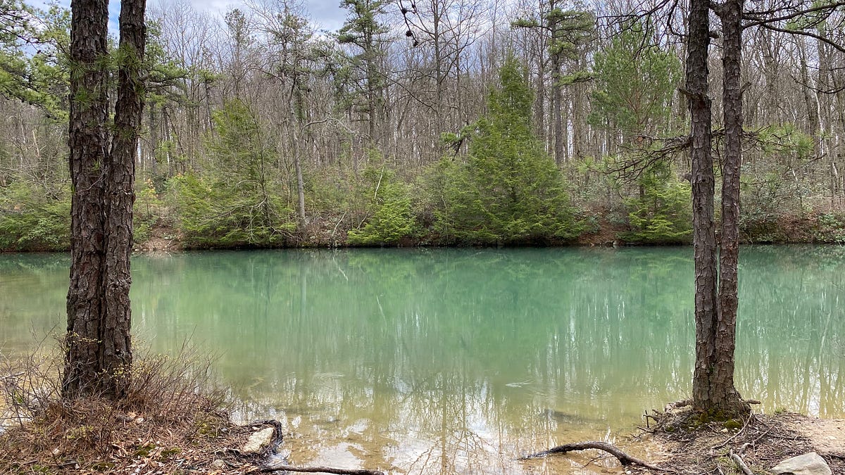 Hiking Weiser State Forest’s Roaring Creek Tract (Aristes, PA) — July