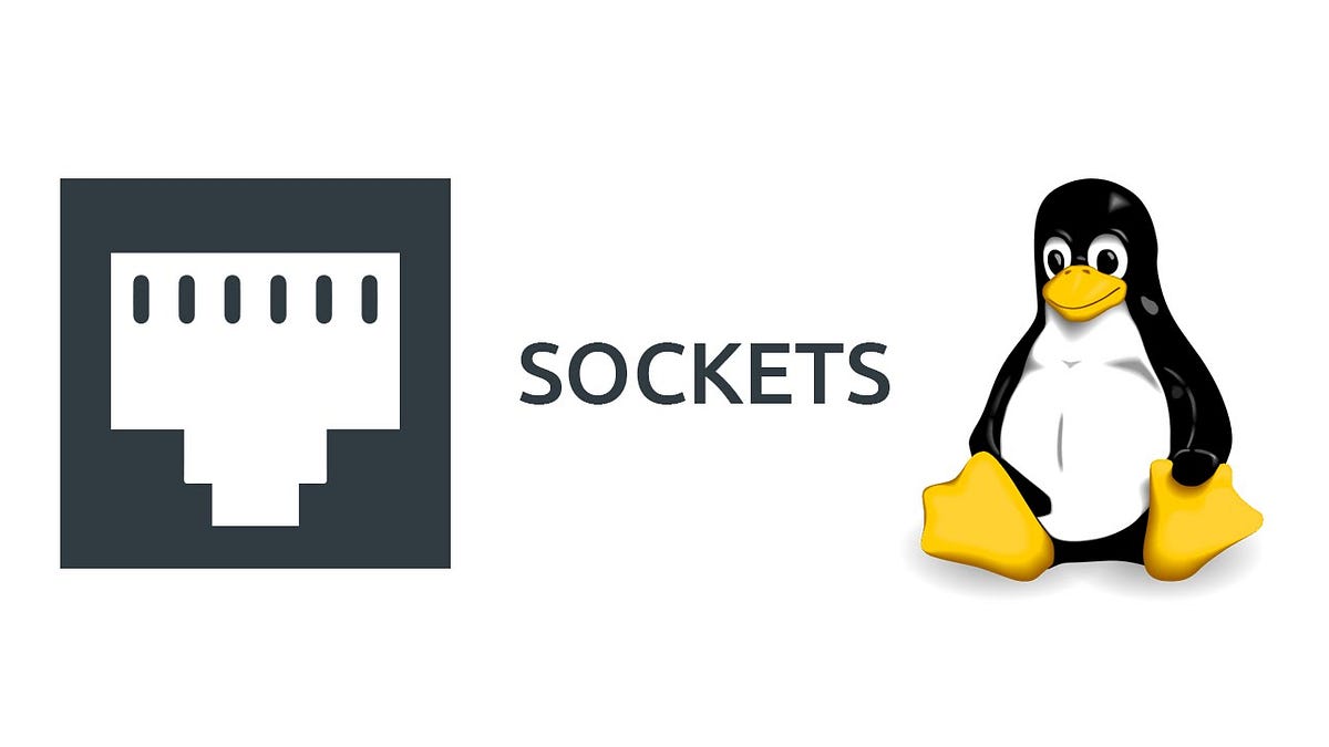 Socket Programming — Linux. What is a Socket? by Kavindra Lunuwilage