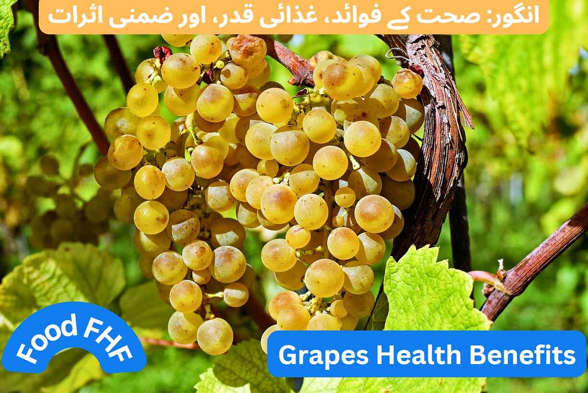 Grapes Health Benefits, Nutritional Value, and Side Effects by Food