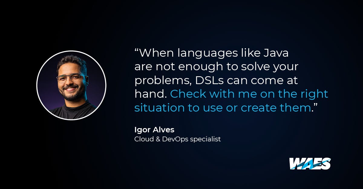 domainspecific languages (DSL) concepts, advantages and risks WAES