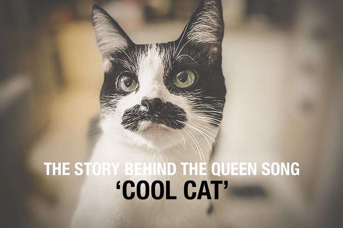 The story behind the Queen song ‘Cool Cat’ by Gary Marlowe Medium