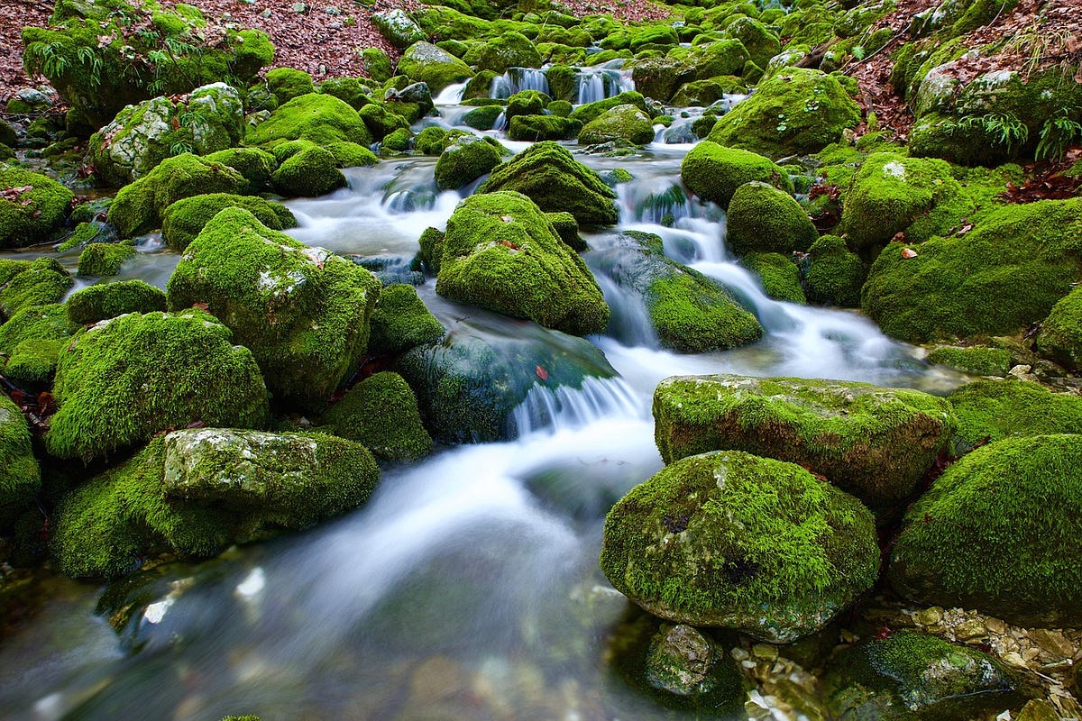 Java 8 Streams .filter and Predicate Negation by Alex Theedom Medium
