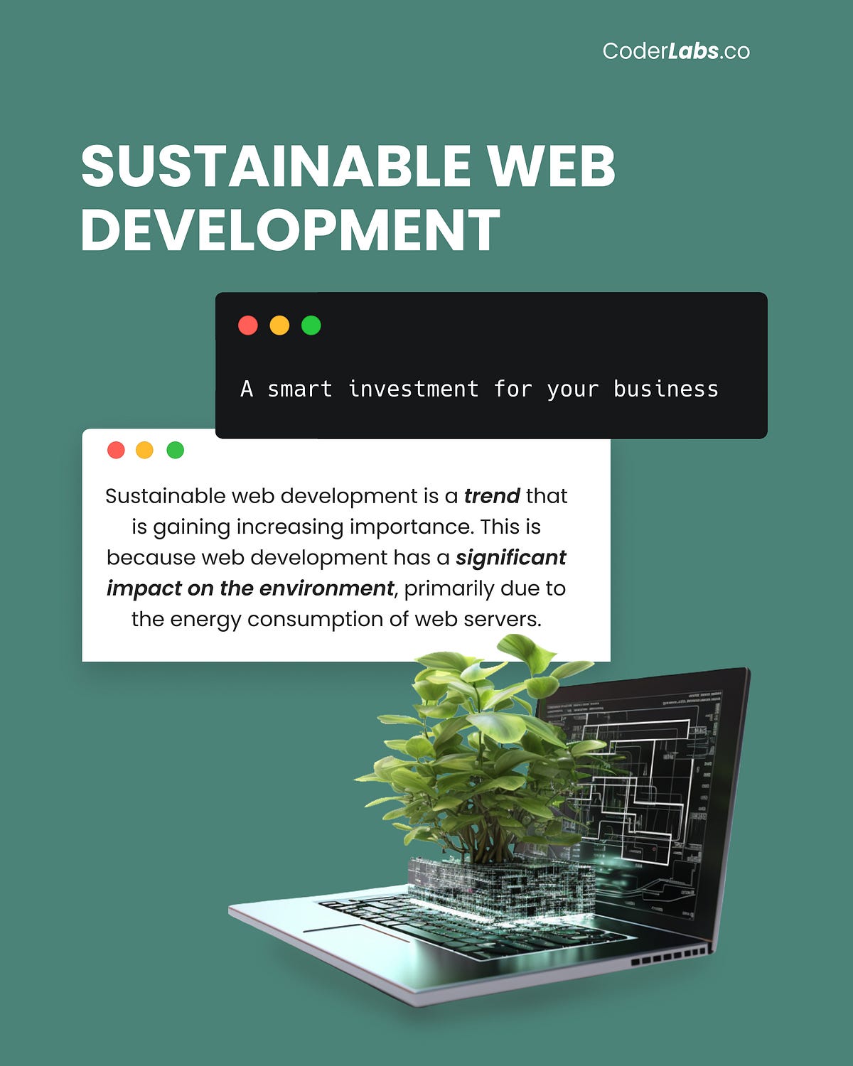 Sustainable  Development A Smart Investment for Your Company by