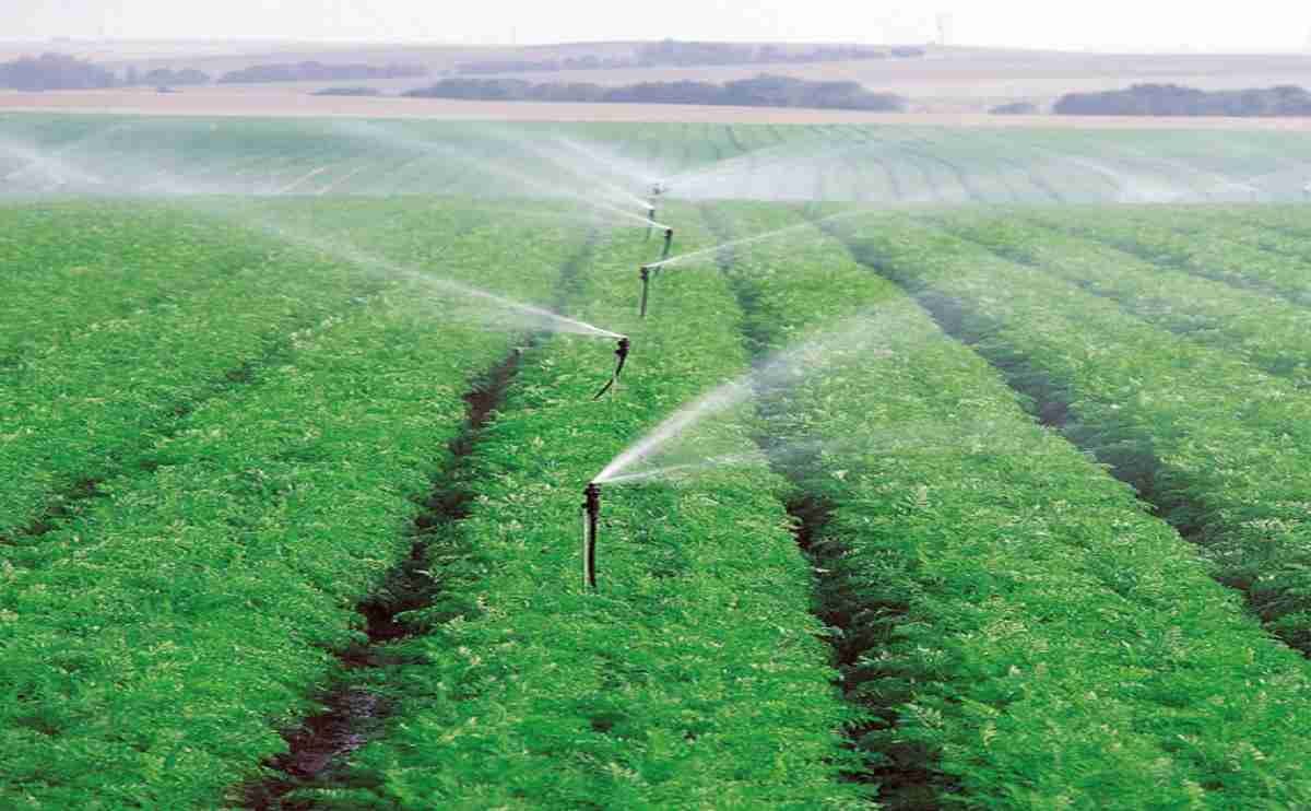 Sprinkler Irrigation Systems Efficient Watering for Greener Landscapes