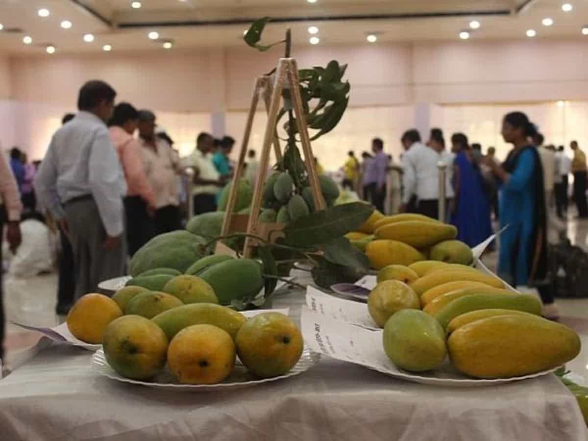India’s Mango Export How It Achieved a 19 Growth in Value and