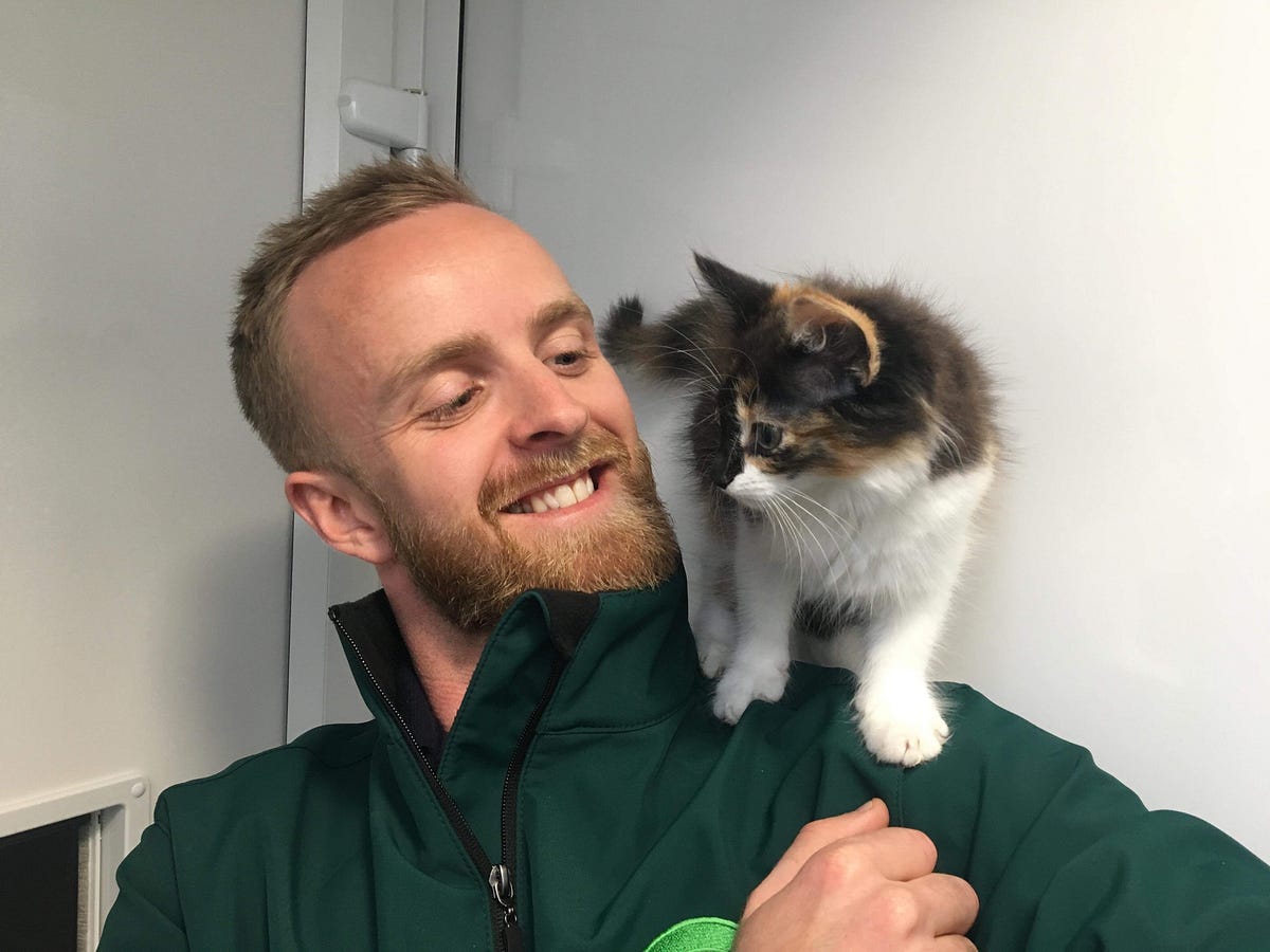 Lockdown pets, what will happen to them? by Sustainably Sustainably