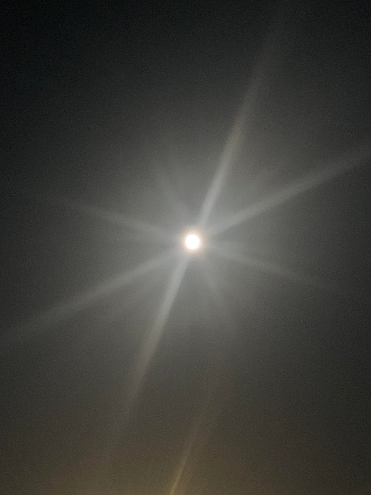 chasing the moon i saw you last night bright and beautiful i had to