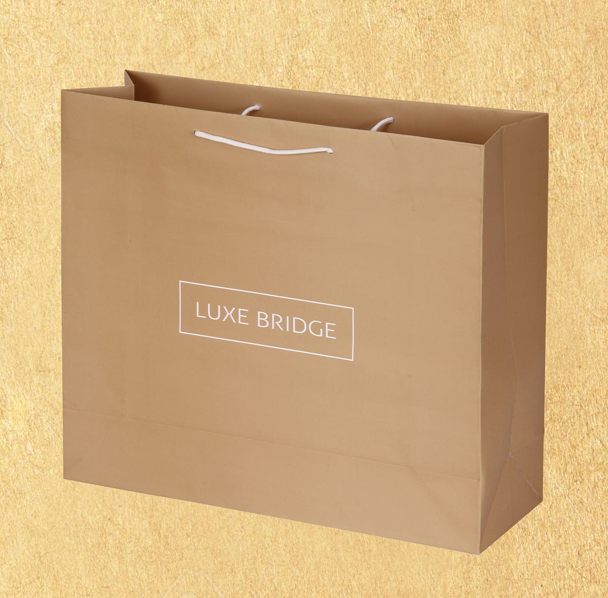 Paper Bags for Events, Functions, And Office GetTogether! by