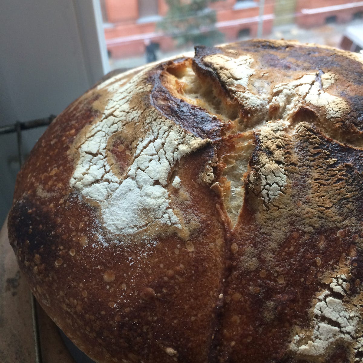 My Tartine Sourdough Bread Routine by David Kaltschmidt Medium