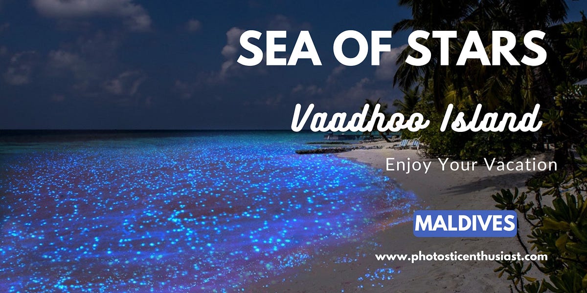 Sea of Stars Maldives on Vaadhoo Island by Photosticenthusiast Medium