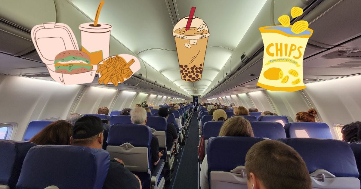 Can you bring food on the plane from home? by AviaTech Channel Jan